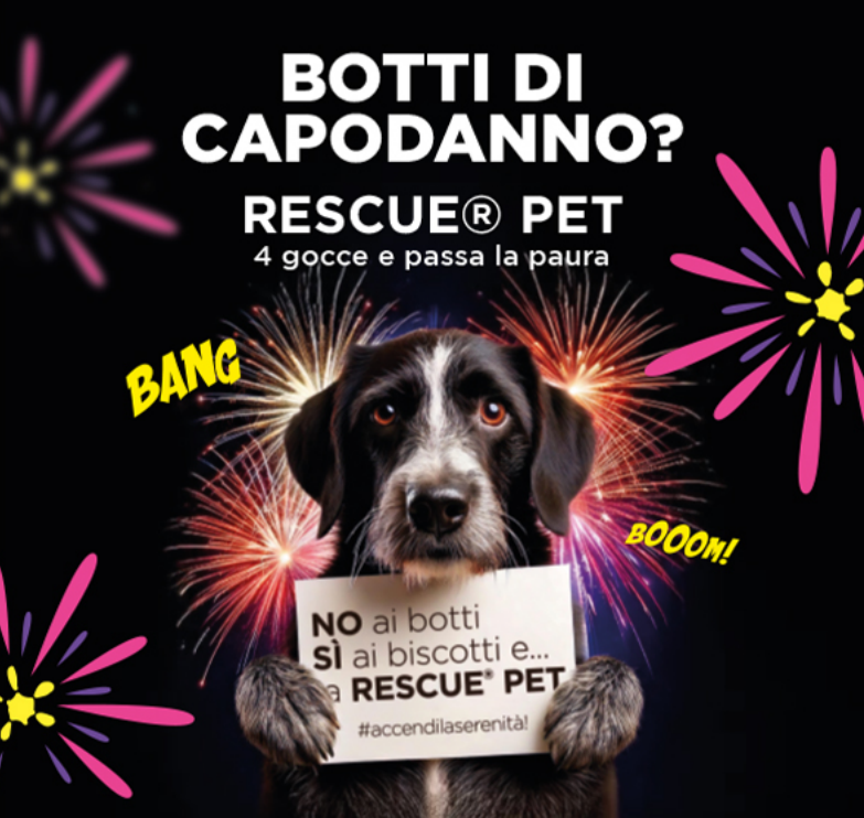 calma il cane dai botti ocn rescue pets